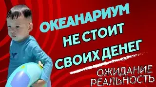 ОКЕАНАРИУМ ДУБАЙ ОЖИДАНИЕ РЕАЛЬНОСТЬ #океанариум #дубай #ментальноездоровье #путешествие #рыбки
