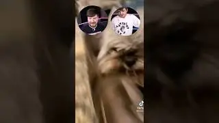This little gremlin dog 😭 | TRY NOT TO LAUGH #shorts #viral #mrbeast
