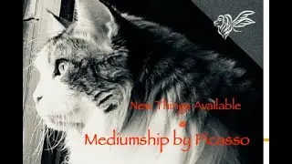 New Things Available! Mediumship by Picasso