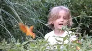 Gijs is een Zonnebloem Koregroen Verjaardag 2013 Barbeque Familie