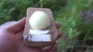 РЫБАЛКА . Монстры в тростнике ..