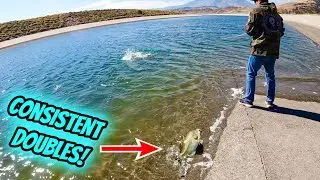 INSANE California Aqueduct Fishing // Big Stripers & Bass!