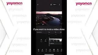 5. How to mute video