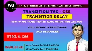 Transition Tag CSS | Transition Delay CSS tutorial for beginners in detail | HTML CSS tutorials