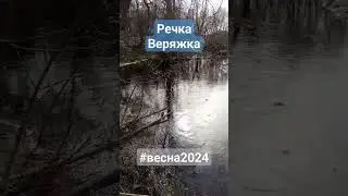 Речка весной