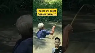 Fishing monster, kakek dapat ikan monster #viralvideo #ikan #mancing #fish #fishing