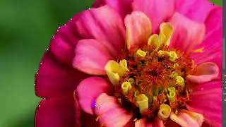Photo Editing Tutorial #A17ff #How_To_Joint_Picture Picture_Editing #Photoshop