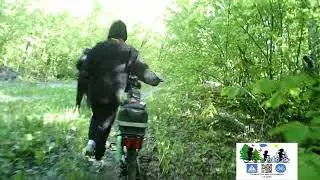 природа и велосипед