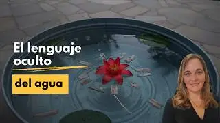 Aquatic Constellations Masterclass - Welcome and Introduction