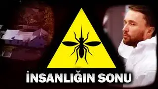 ANALOG KORKU + SİVRİSİNEKLER AŞIRI RAHATSIZ EDİCİ!