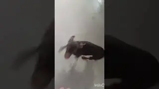 ты смотри кто к нам пришел!