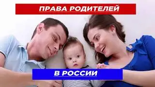 Права родителей в законодательстве РФ
