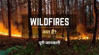 What is Wildfires with Full Information? – [Hindi] – Quick Support