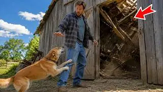 The dog wouldn’t let its owner into the old shed. A minute later, he understood the terrifying reaso
