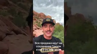 Не пластика, а травма: Зак Эфрон раскрыл причину деформации его лица