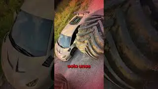 NONSTERTRUCK VS LAMBORGHINI!! 😲 3