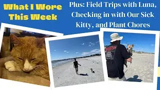 What I Wore This Week! | Another Beach Trip & Shopping With My Dog (a Pet Friendly Craft Store!)