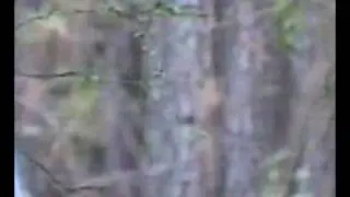 Truth of the Paranormal: A Real Life Documentary teaser