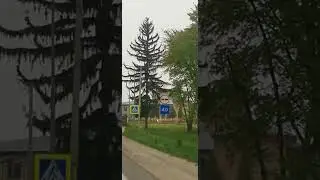 Ніби штучна