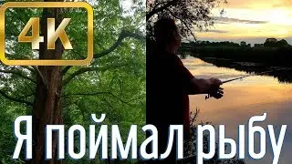 ОТДЫХ НА ДАЧЕ В ГЕРМАНИИ/РЫБАЛКА/РЕКА/УХА/ОТПУСК