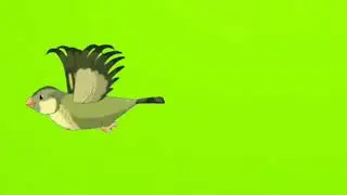 Flying bird...no copy right...  (please subscribe my channel)