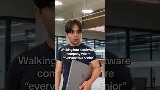 Walking into a software company where everyone is a senior