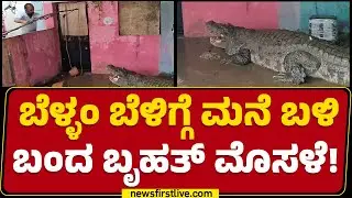 Gujaratನಲ್ಲಿ ಭಾರೀ ಮಳೆ ಜನವಸತಿ ಪ್ರದೇಶಗಳಿಗೆ ಎಂಟ್ರಿ ಕೊಟ್ಟ ಮೊಸಳೆಗಳು | Heavy Rain | @newsfirstkannada