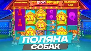 СЛОВИЛ ПОЛЯНУ СОБАК С ДОДЕПА И ВЕРНУЛ ВСЕ В ДОГ ХАУС МЕГАВЕЙС! ПОЛЯНА СИМВОЛОВ В DOG HOUSE MEGAWAYS!