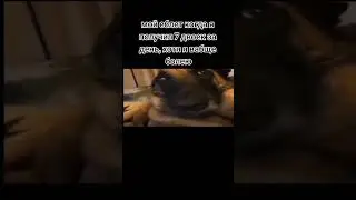 #анархия