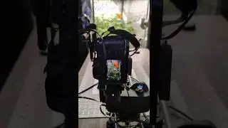 How to take a cool shot of your plants! Dolly Zoom