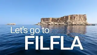 Visiting Filfla | Malta's tiny island with a big history
