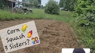 Will our planting experiment work?