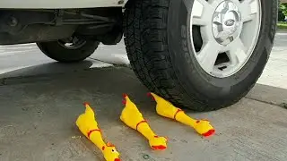 Experiment! Car vs Chicken (Crushing Crunchy & Soft Things by Car)
