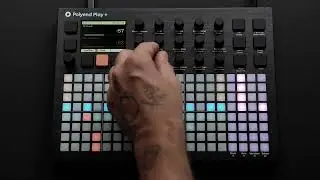Polyend Play+ Pop House