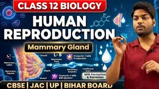 Human Reproduction Class 12 | Mammary Glands, Lactation, Prolactin & Oxytocin | Biology