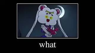 Why is Mr. Small, Sailor Moon?