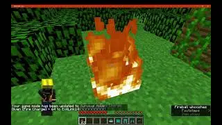 Roleplay Clothes 1.12.2 Forge Mod Overview