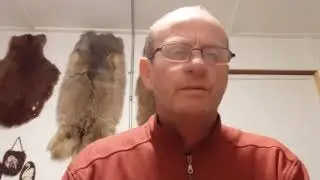 Как получить разрешение на оружие в Канаде