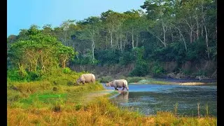 CHITWAN NATIONAL PARK ,SAURAHA