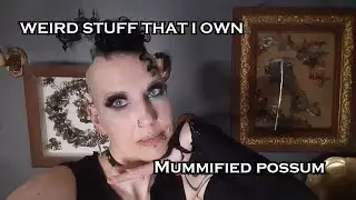 Mummified Possum | Weird Stuff That I Own | Madame Absinthe