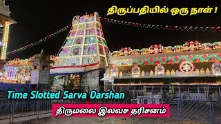 திருமலை திருப்பதி  இலவச தரிசனம் | Tirumala Tirupati SSD Free Darshan Tamil | TN 24