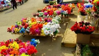 Джигинка сегодня [05.04.2017]