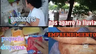 VLOG/ DESPENSA SEMANAL D1/EMPRENDIMIENTO