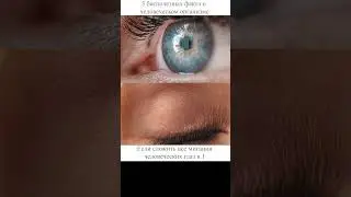 😱 Мы вдыхаем 20 кг пыли