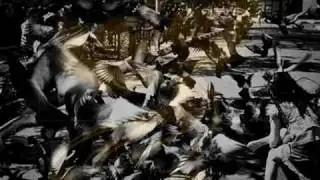 Ego Likeness - Aviary