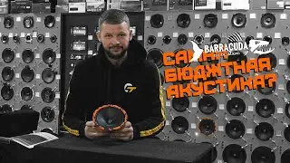 Обзор на новинку от DL Audio: Barracuda 165 / Громкая и бюджетная акустика