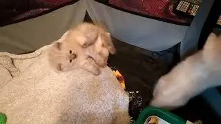 Мы растём