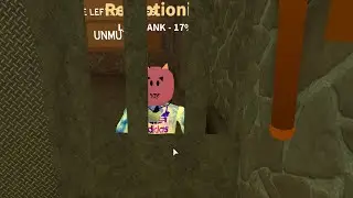 A Cult in Roblox?!