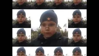 Смешные факты о вива видио
