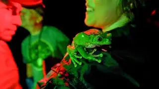 CKPI Jungle Experience | Advanced Kambo Course
